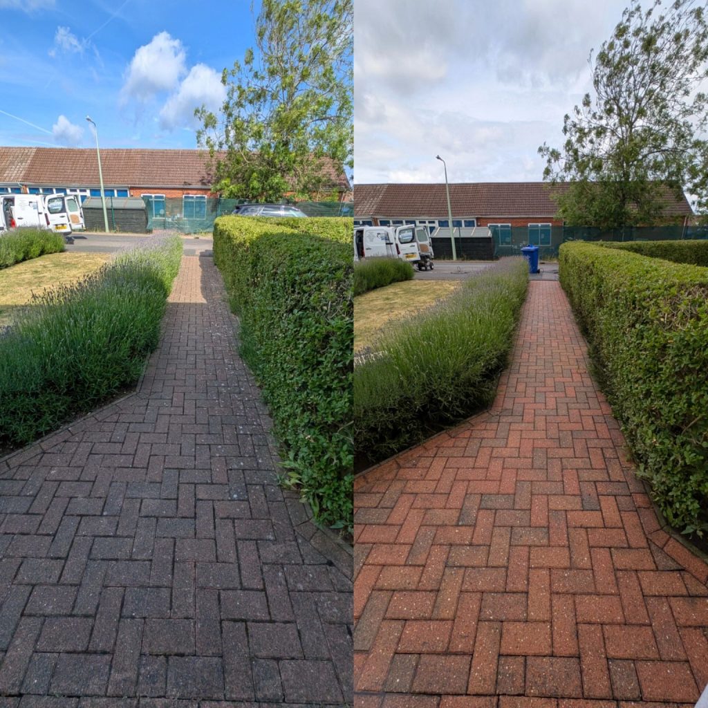 Clean-Walkway-After-Professional-Cleaning