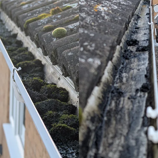 Before and after gutter cleaning in Soham showing thick green moss build up removed from residential guttering.