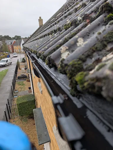 Professional gutter cleaning in Littleport showing gutters cleared of debris and blockages.